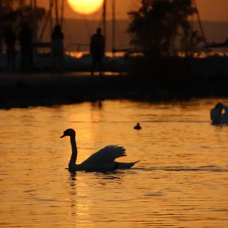 Haus Nadine - Balaton 2* Szolad