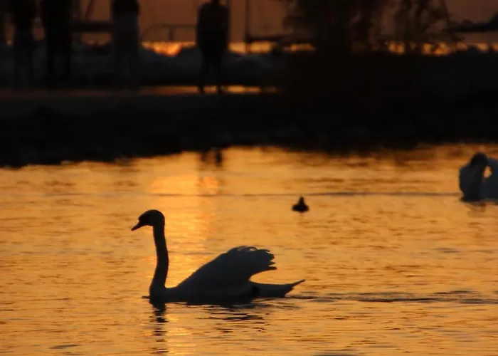 Haus Nadine - Balaton 2* Szolad